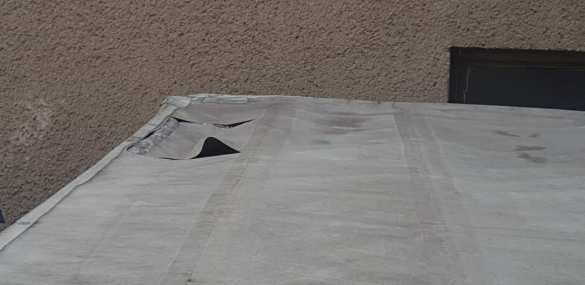 Мигранты, ехавшие во Францию, попали на Украину (ФОТО) | Русская весна