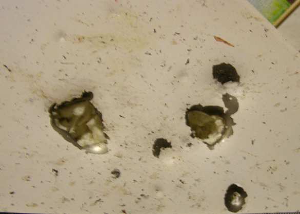 В Полтавской области мужчина подорвал себя и искалечил возлюбленную, хвастаясь гранатой (+ФОТО) | Русская весна