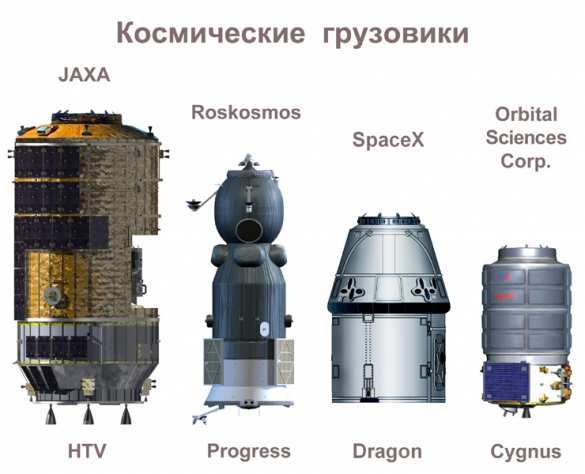 Гравитация на МКС. Пока — только для мышей | Русская весна