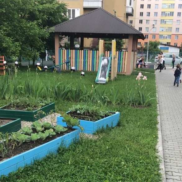Овощи в гробах: в детсаду Ивано-Франковска «привыкают к земле» с юных лет (ФОТО) | Русская весна