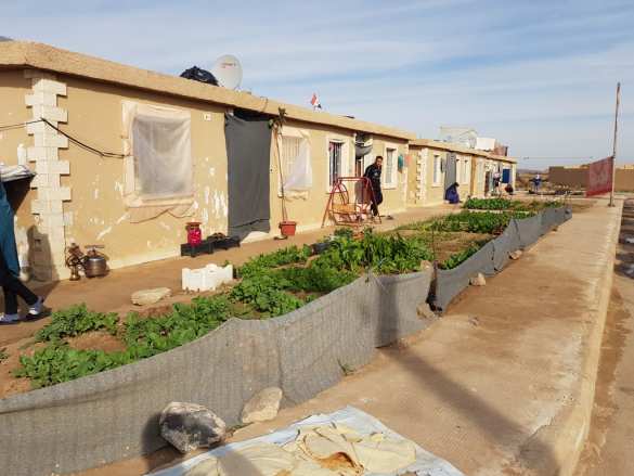 Бежавшие из ада: армия России спасла тысячи сирийцев из Идлиба (ФОТО, ВИДЕО) | Русская весна