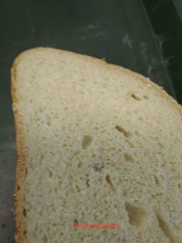 Скандал: Будущих офицеров ВМС Украины кормят как скот (ФОТО)  | Русская весна