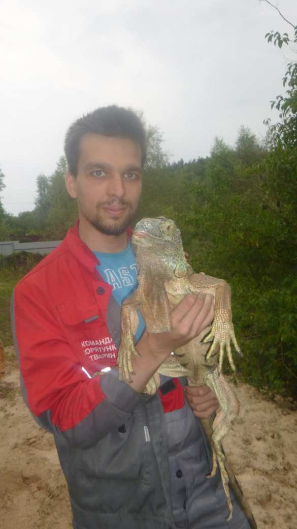 «Динозавр ест кабачки на моем огороде!» — под Киевом женщина в панике вызвала спасателей (ФОТО) | Русская весна