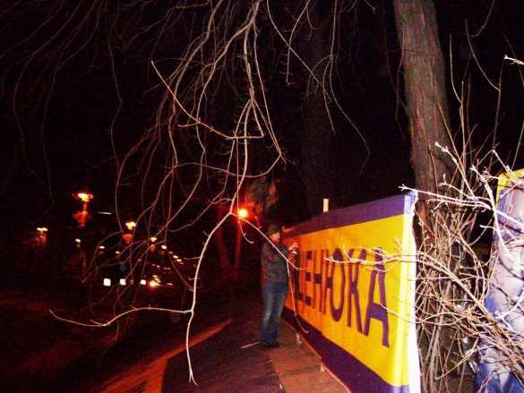 Скандально известная нардеп Чорновол устроила пьяный дебош на «тарифном майдане» (ФОТО, ВИДЕО) | Русская весна