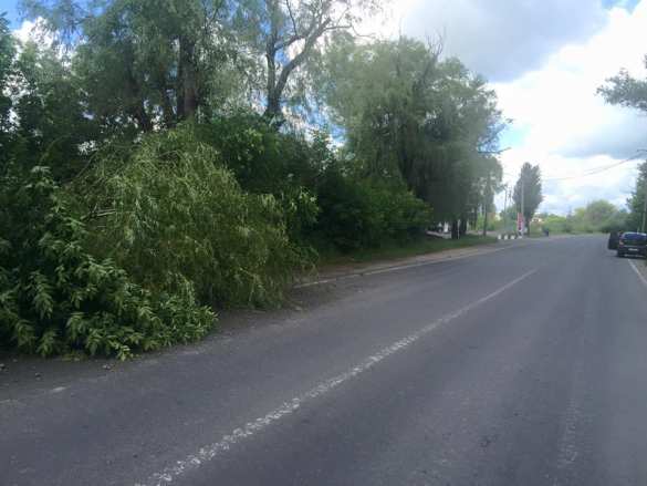 «14 приходов из ствольной артиллерии калибра 122 и 152 мм», — последствия ночного обстрела Донецка (ФОТО) | Русская весна