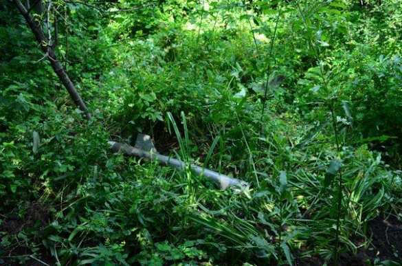 Ракета ПЗРК попала в сопло украинскому штурмовику СУ-25 - ополчение Горловки (фото) | Русская весна