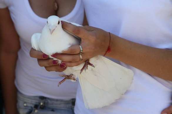 Харьков митингует: толпы фашистов против бесстрашных девушек, женщин и стариков (фото, видео) | Русская весна
