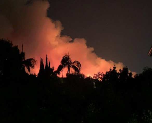 Лос-Анджелес в огне, Шварценеггер и звёзды Голливуда бегут из своих шикарных особняков (ФОТО, ВИДЕО) | Русская весна