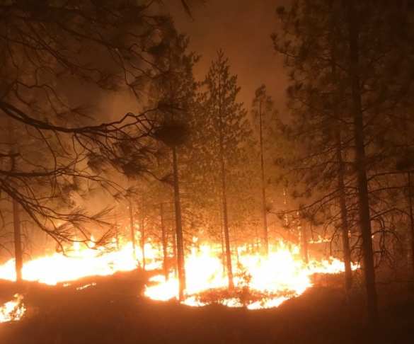 Калифорния в аду: 1276 пропавших, 76 погибших и штат продолжает гореть (ФОТО, ВИДЕО) | Русская весна