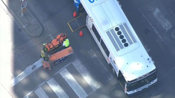 СРОЧНО: Микроавтобус въехал в толпу в Торонто (+ФОТО, ВИДЕО 18+) | Русская весна