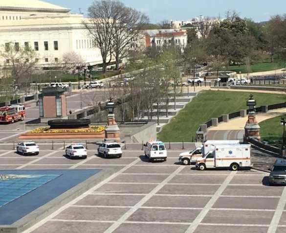 МОЛНИЯ: В США в Капитолии слышны выстрелы, — СМИ (ФОТО)  | Русская весна