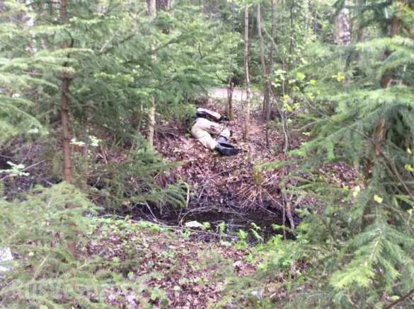 В ЛНР ликвидировали карателя ВСУ, повесившего беременную женщину | Русская весна