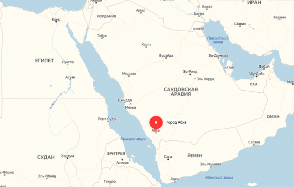 Аэропорт в Саудовской Аравии попал под ракетный обстрел, десятки раненых (ФОТО, ВИДЕО) | Русская весна