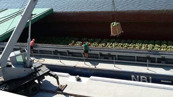 Украина: президенты меняются, а кавуны остаются (ФОТО) | Русская весна