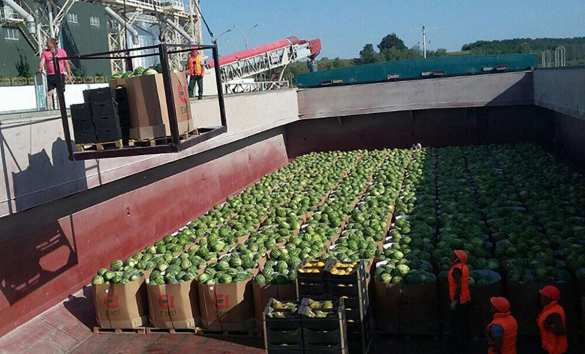 Украина: президенты меняются, а кавуны остаются (ФОТО) | Русская весна