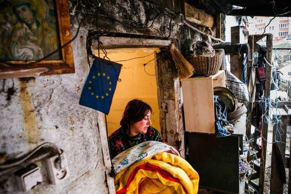 Будни европейской Украины: свиноферма среди киевских высоток (ФОТО) | Русская весна