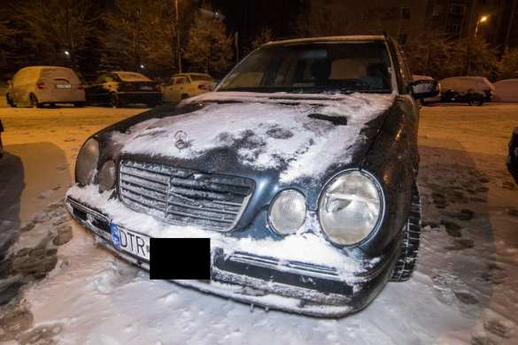 Это Украина: в Киеве грабители с ножом пытались украсть ёлку (ФОТО, ВИДЕО) | Русская весна