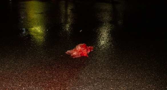 Киевлянин расстрелял посетителей паба из-за собаки (ФОТО) | Русская весна