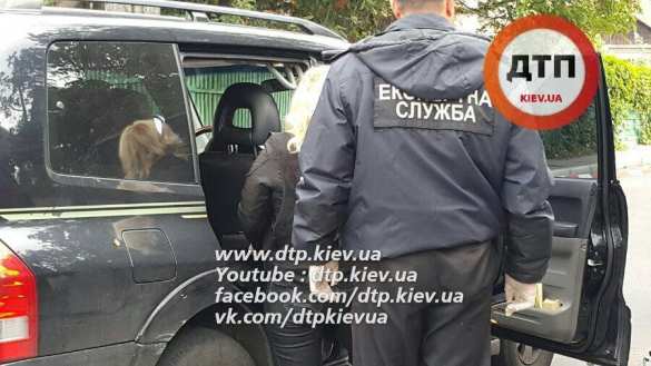 В Киеве нарушитель ПДД избил полицейского и забрал у него оружие (ФОТО) | Русская весна