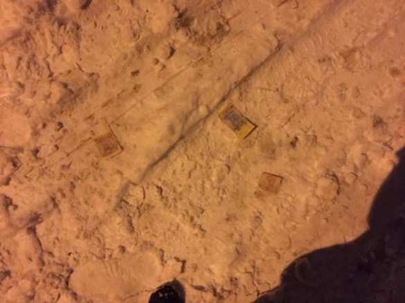 Типичный Киев: налетчики избили и ограбили разносчика пиццы (ФОТО) | Русская весна