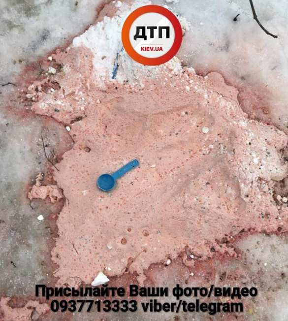 Неизвестные посыпают улицы Киева ядом (ФОТО) | Русская весна