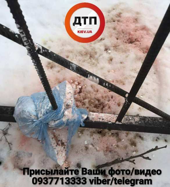 Неизвестные посыпают улицы Киева ядом (ФОТО) | Русская весна