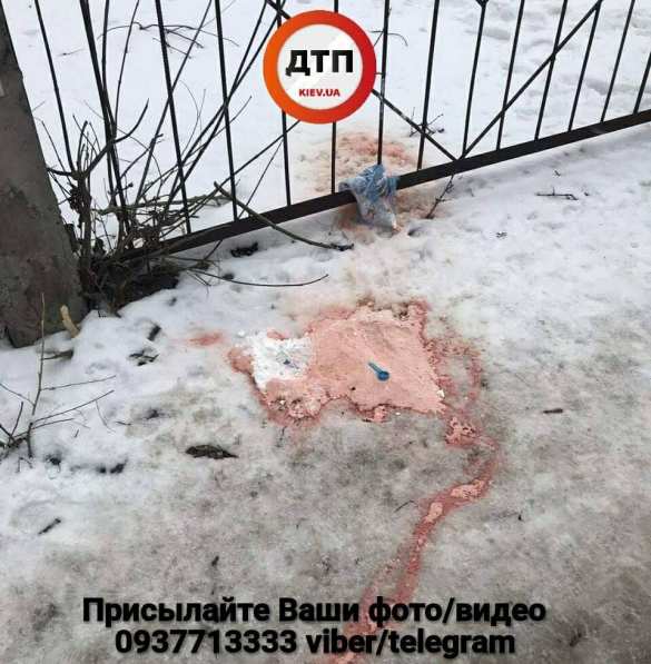 Неизвестные посыпают улицы Киева ядом (ФОТО) | Русская весна