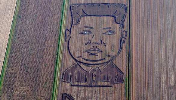 Итальянский художник создал на поле огромный портрет главы КНДР (ФОТО) | Русская весна