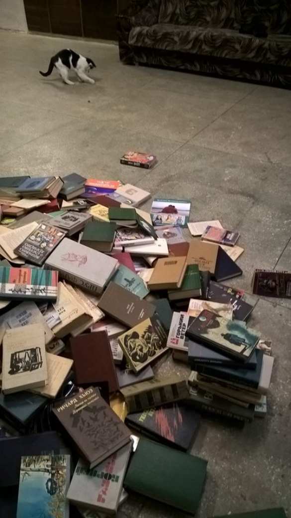 Четвертый рейх: в Киеве топят печи книгами (ФОТО) | Русская весна