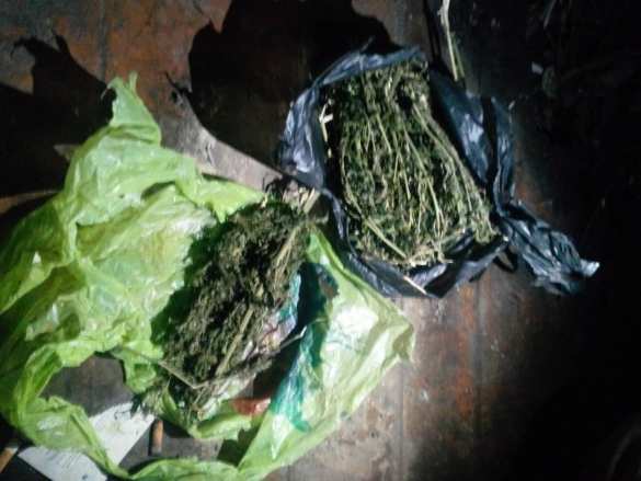 «СБУшники» жгли коноплю в «АТО» (ФОТО) | Русская весна