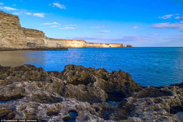 Древняя флотилия обнаружена на дне Черного моря (ФОТОРЕПОРТАЖ) | Русская весна