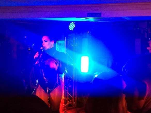 Новогодний корпоратив Кличко: фазаны, киевские депутаты и топлесс-певицы (ФОТО 18+) | Русская весна