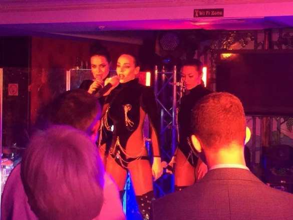 Новогодний корпоратив Кличко: фазаны, киевские депутаты и топлесс-певицы (ФОТО 18+) | Русская весна