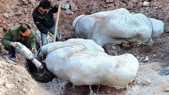 Бигфут-большая нога: учёные показали кости динозавра с самыми большими стопами (ФОТО) | Русская весна