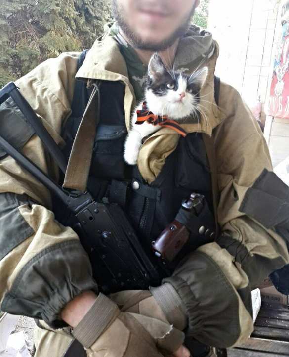 Лучшие фото с фронтов Донбасса с четвероногими друзьями — Музей Новороссии объявляет конкурс (ФОТО) | Русская весна