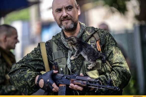 Лучшие фото с фронтов Донбасса с четвероногими друзьями — Музей Новороссии объявляет конкурс (ФОТО) | Русская весна