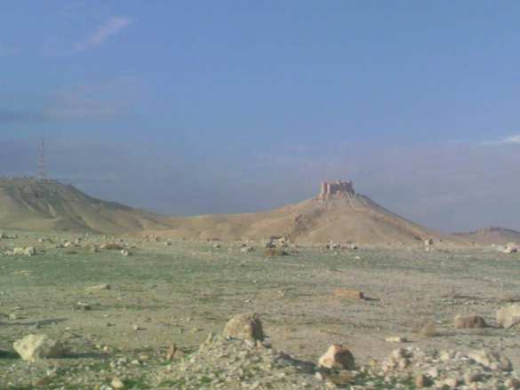 СРОЧНО: Спецназ «Тигры» и ВКС России штурмуют последнюю вершину перед входом в Пальмиру (КАРТА, ФОТО) | Русская весна