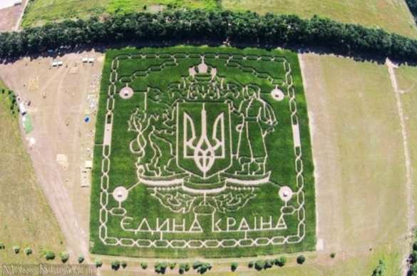 В Киеве появился патриотический кукурузный лабиринт (ФОТО) | Русская весна