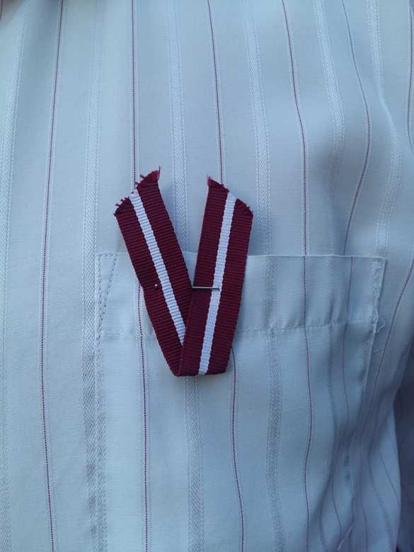 «Латвия уже присоединена к России?» — латвийцы возмутились рижской полицией | Русская весна