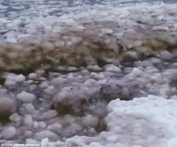 «Загадочные» ледяные шары из России удивили Интернет (ФОТО, ВИДЕО) | Русская весна