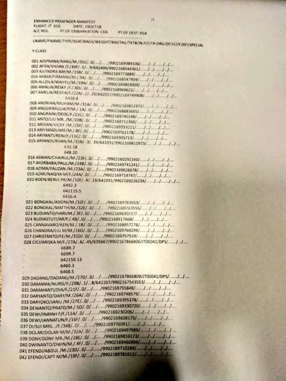 На борту рухнувшего Boeing 737 было 189 человек: найдены обломки самолёта и вещи (ФОТО, ВИДЕО) | Русская весна