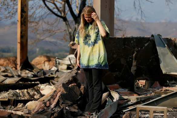 Лос-Анджелес в огне, Шварценеггер и звёзды Голливуда бегут из своих шикарных особняков (ФОТО, ВИДЕО) | Русская весна