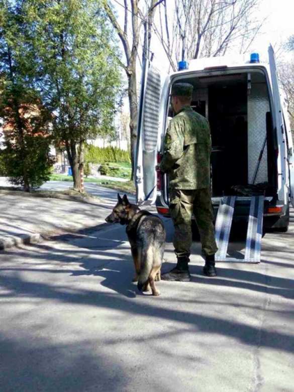 Львовянин нашел взрывчатку возле своего дома (ФОТО) | Русская весна