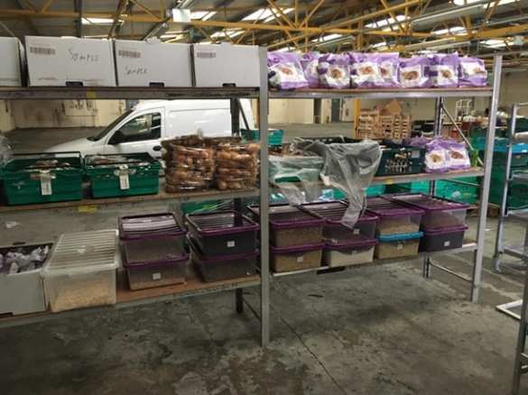 В Британии открыли супермаркет с едой из помоек (ФОТО) | Русская весна