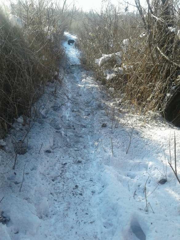 ВАЖНО: Обстрелы продолжаются, школа в Макеевке эвакуирована, попадание в 9-этажный дом, в Донецке ограничено движение транспорта (+ФОТО) | Русская весна