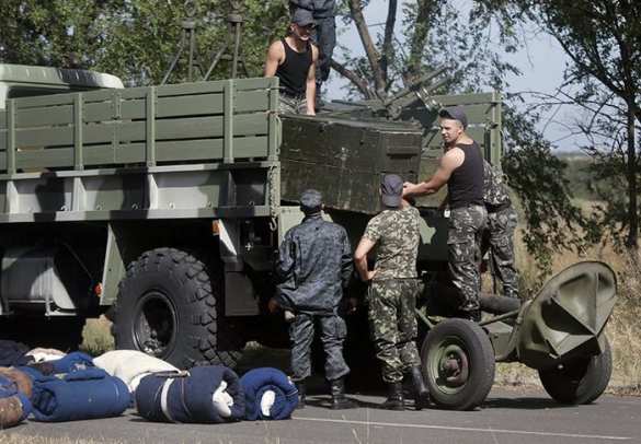 Мариупольские власти в ужасе: впереди – армия ДНР, сзади – шакалы (фото) | Русская весна