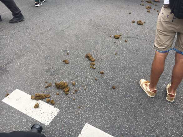 Парад содомитов в Киеве продлился 20 минут (ФОТО) | Русская весна