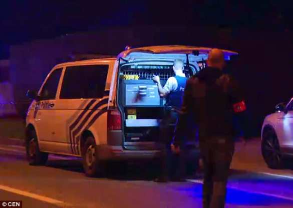 В Бельгии мать зажарила 2-летнюю девочку на гриле (ФОТО) | Русская весна