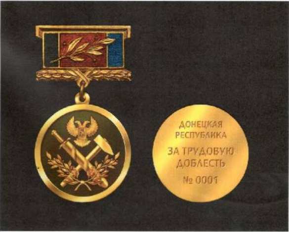 Глава ДНР учредил три новые государственные награды (ФОТО) | Русская весна