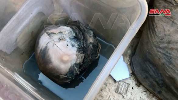 Жуткая находка в Сирии: людей распиливали на части для продажи (ФОТО 18+) | Русская весна